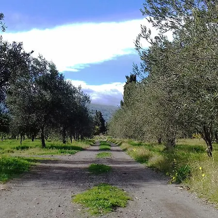 La Stanza In Campagna 菲乌梅弗雷多·迪·希西尔