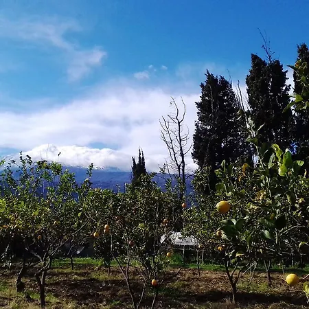 La Stanza In Campagna 菲乌梅弗雷多·迪·希西尔