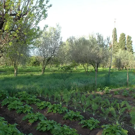招待所 La Stanza In Campagna