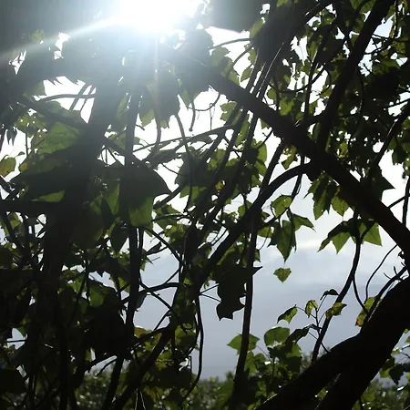 La Stanza In Campagna * 菲乌梅弗雷多·迪·希西尔