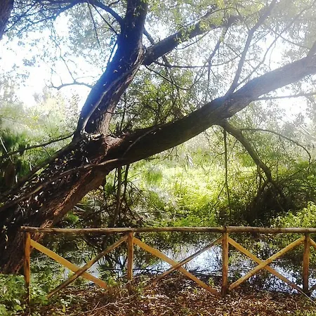 La Stanza In Campagna