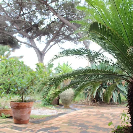 招待所 La Stanza In Campagna
